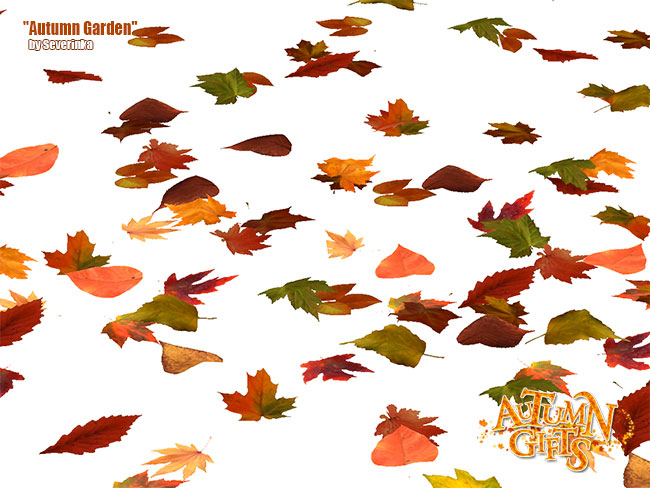 autumn-garden9.jpg